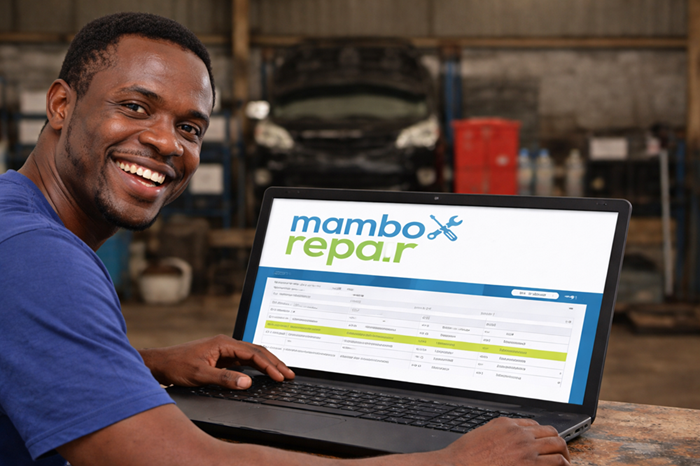MamboRepair Screenshot
